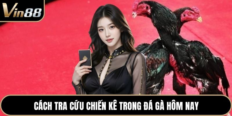 Cách tra cứu chiến kê trong đá gà hôm nay