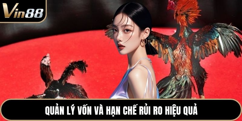 Quản lý vốn và hạn chế rủi ro hiệu quả